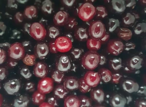 Ķiršu ievārījums