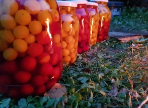 Kaukāza plumju kompots