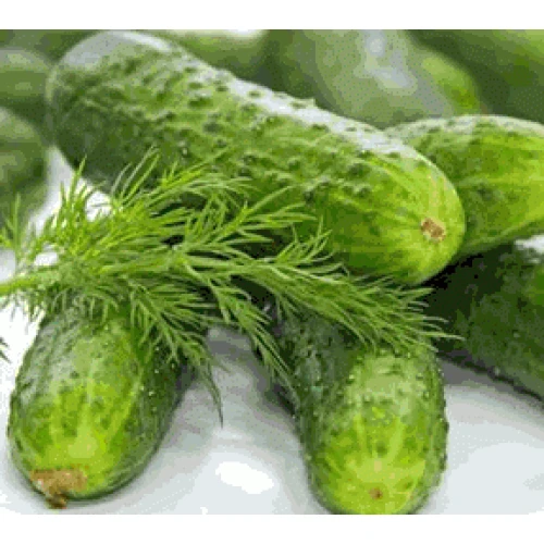 Piparu gurķīši