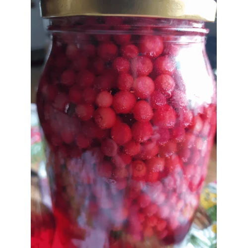 Brūkleņu kompots
