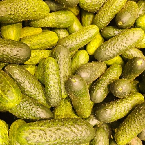 gurķi2.jpg